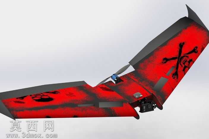 Ritewing西风Z二