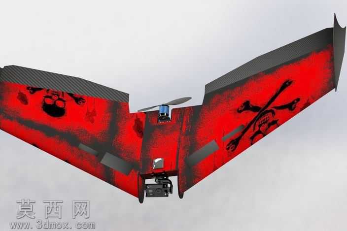 Ritewing西风Z二