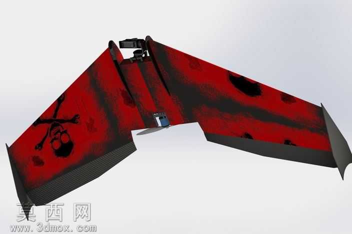 Ritewing西风Z二