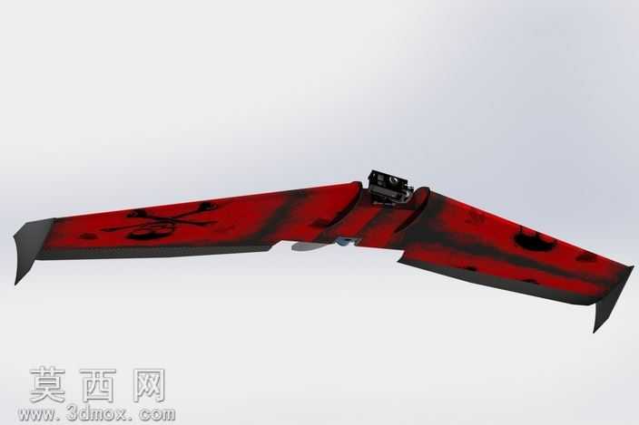 Ritewing西风Z二