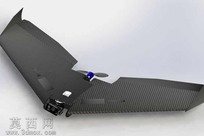 Ritewing西风Z二