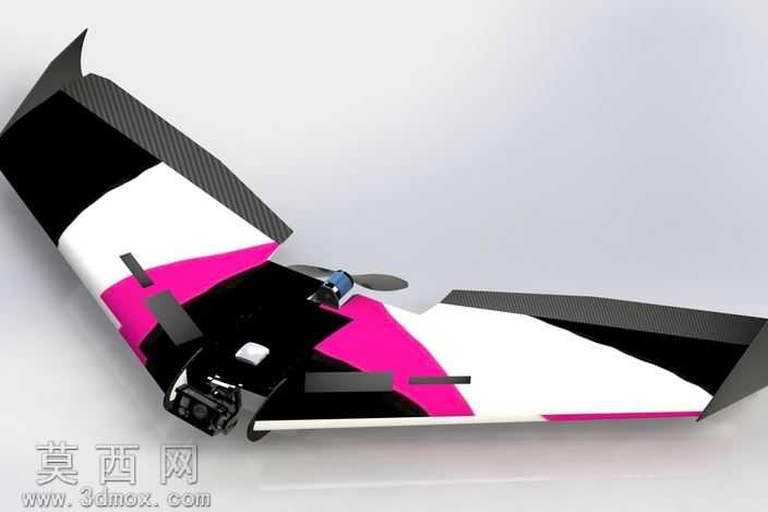 Ritewing西风Z二