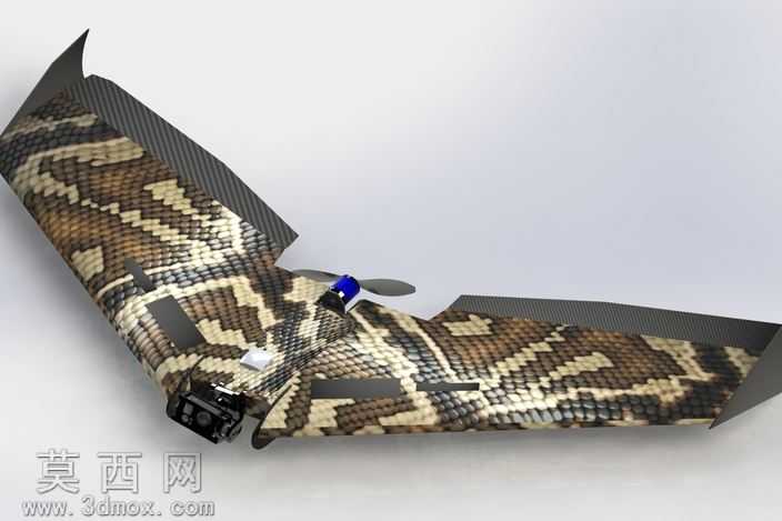 Ritewing西风Z二
