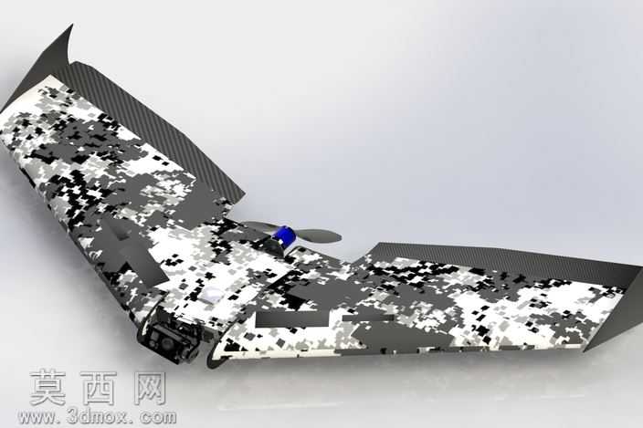 Ritewing西风Z二