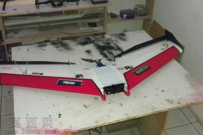 Ritewing西风Z二