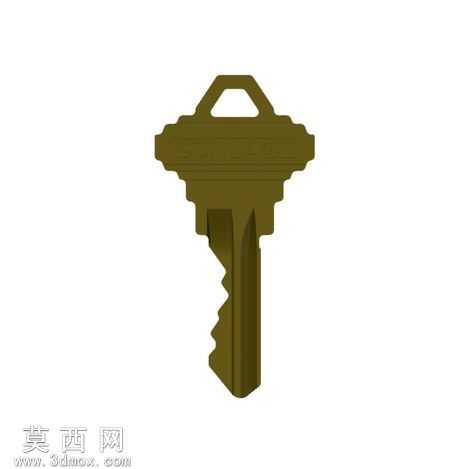 ���ӵ�Կ��SCHLAGE
