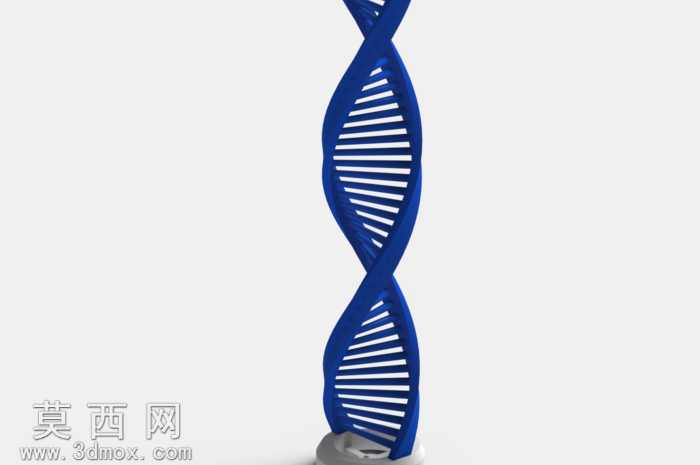 ��DNA�����ṹ����3d��ӡ

