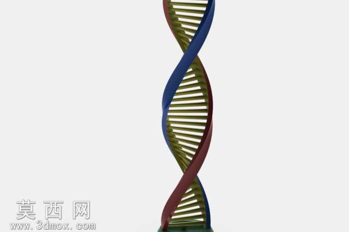 ��DNA�����ṹ����3d��ӡ
