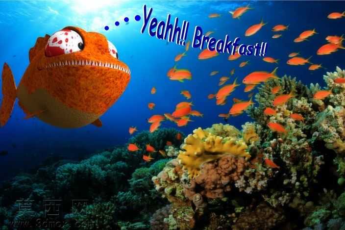 ʳ����3D
