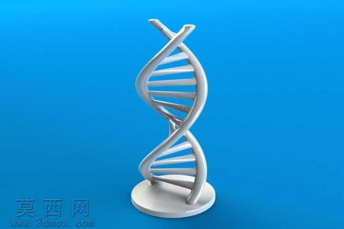 Figulo��DNA��ǽ
