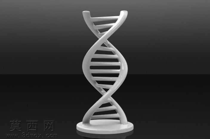 Figulo��DNA��ǽ
