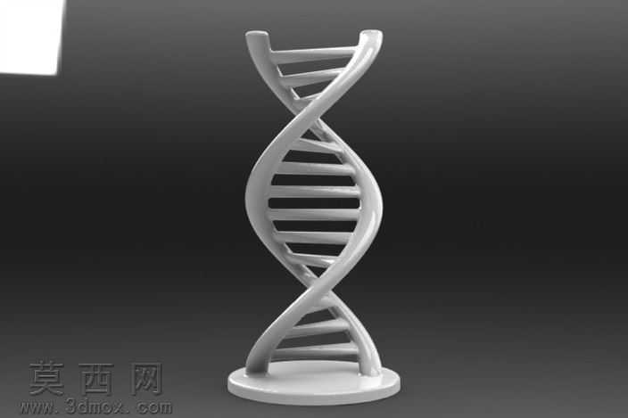 Figulo��DNA��ǽ

