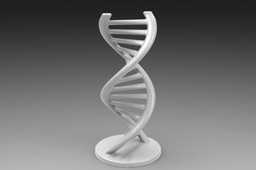 Figulo��DNA��ǽ