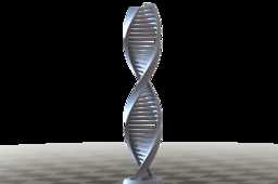 ��DNA�����ṹ����3