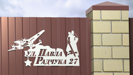 ��ά�����ſ˽�