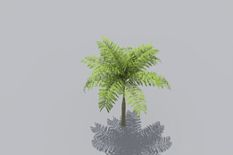 sketchup����ά������