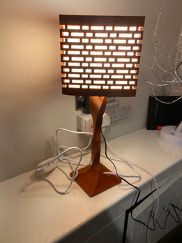 3D��ӡ���
