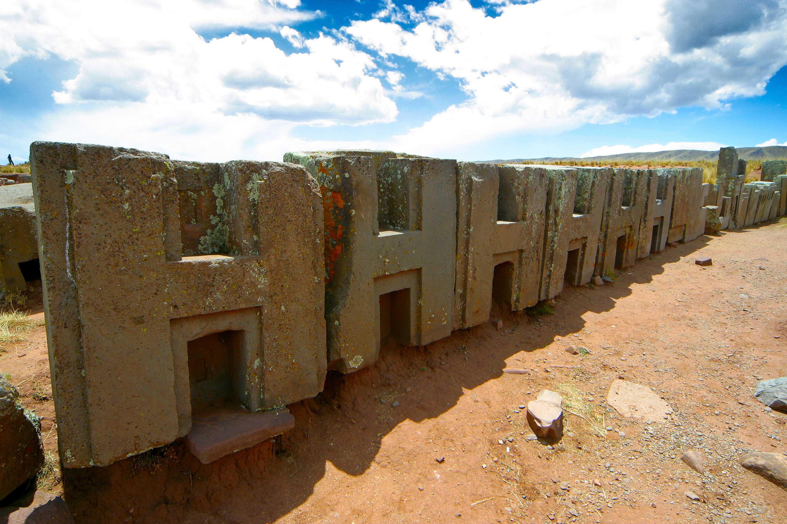 美洲狮朋库