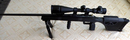 CZ 452.22LR����ǹ��3D�ɴ�ӡ���