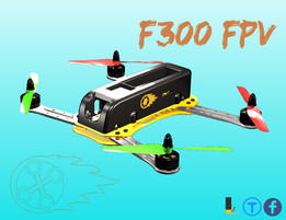 F300 FPV���˻�