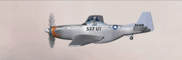 P51Ұ��