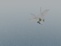 F-22����