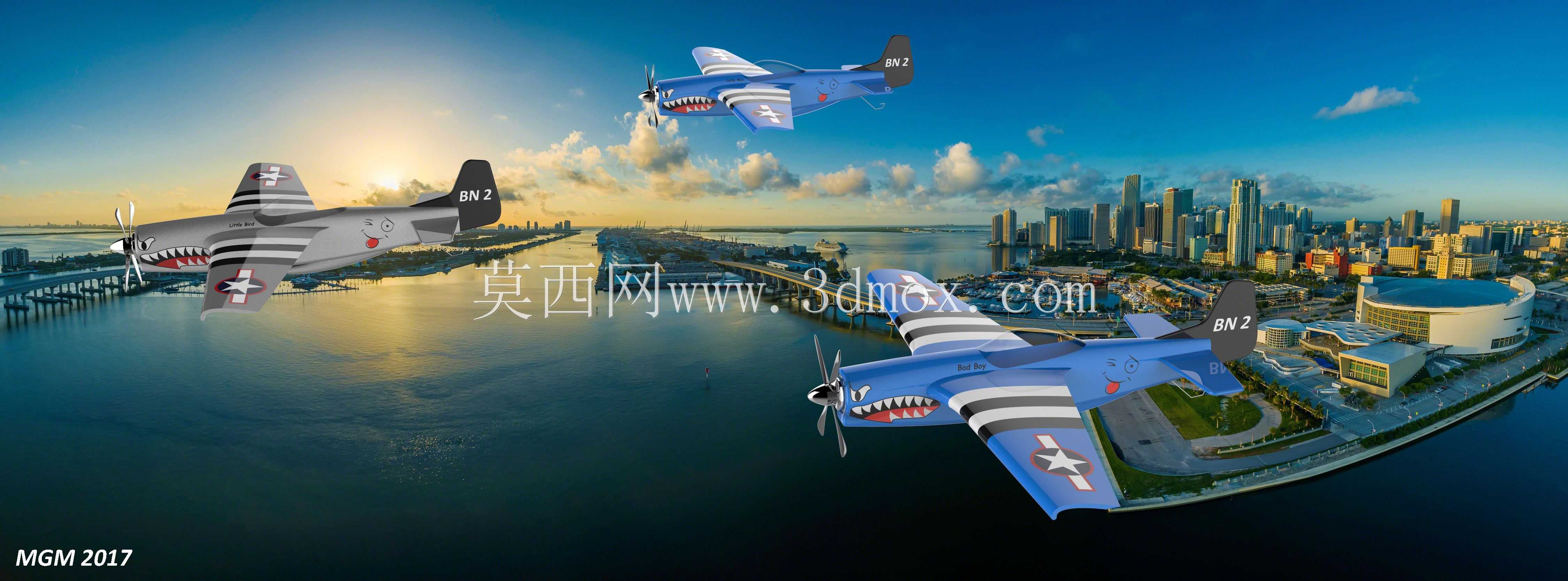 �ɻ����ߵ����P51Ұ��������еĿ������ˡ�