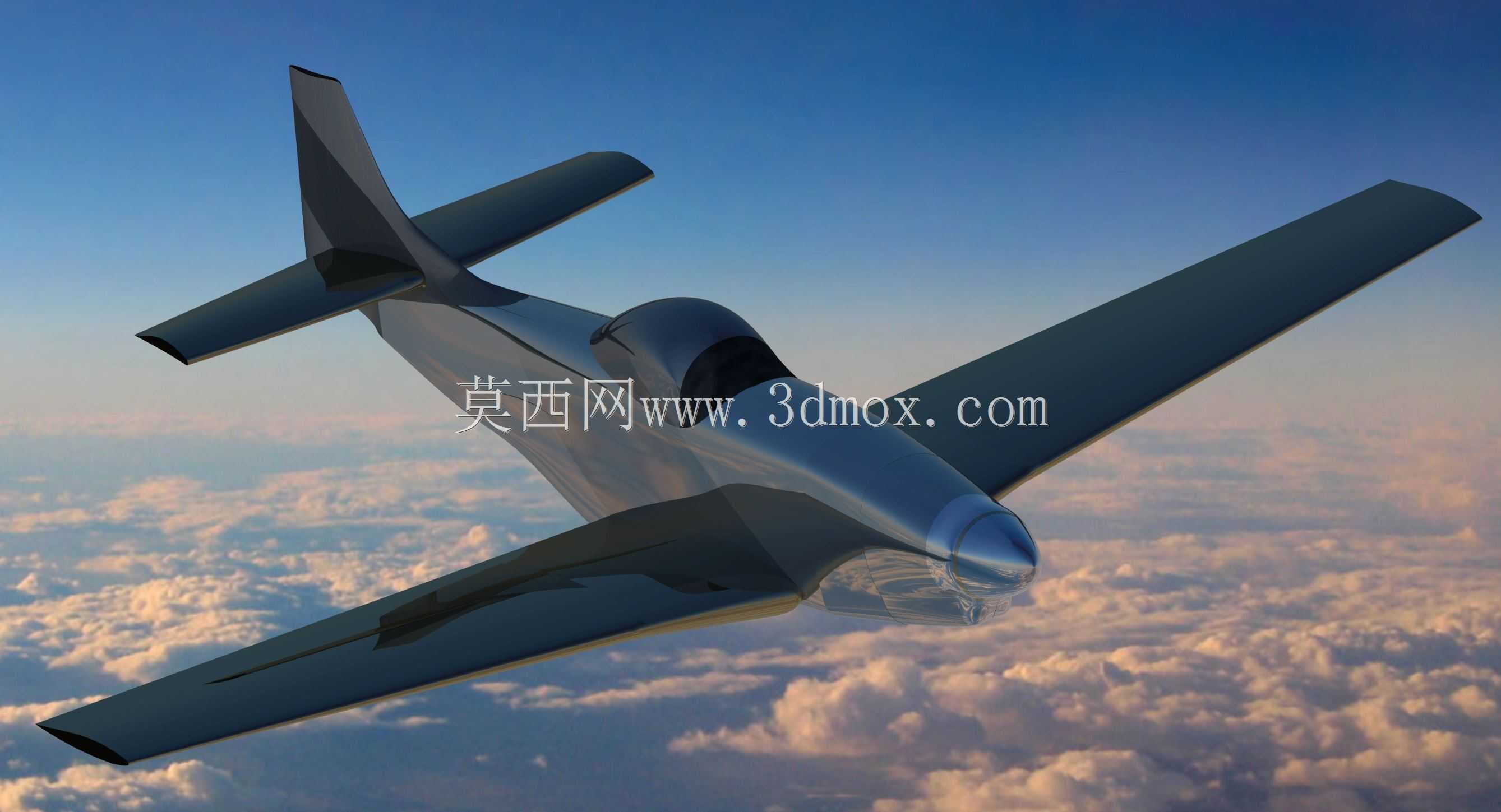 P51Ұ��