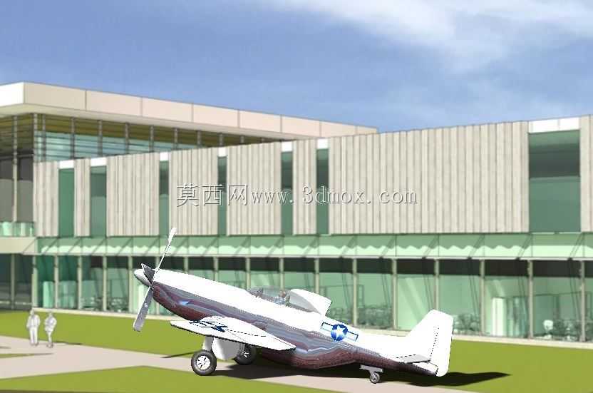 P51Ұ��