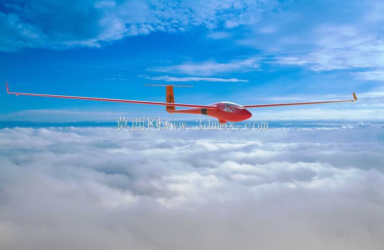 2021�ŷ���