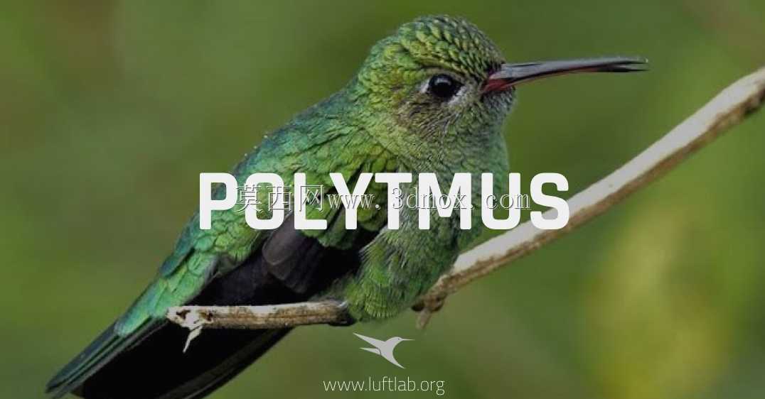 Poly 10�����˻����