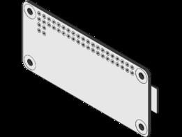 RASPI ZERO W 1.1