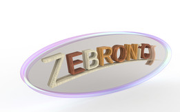 ��־�ƣ�zebronics��