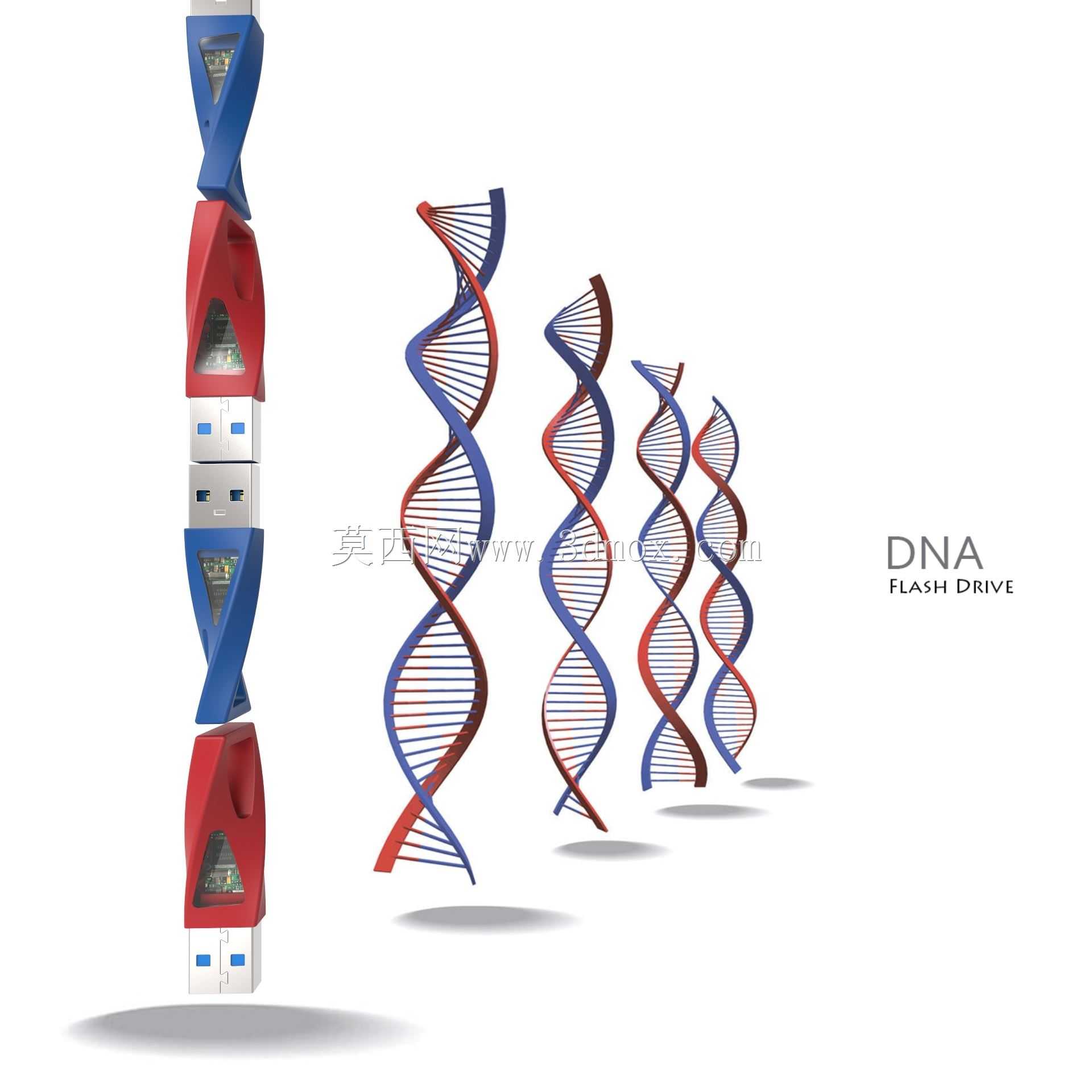 DNA����������