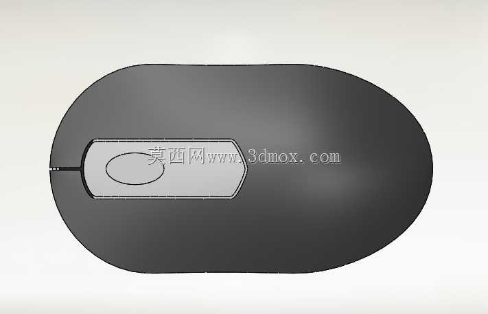 小鼠模型