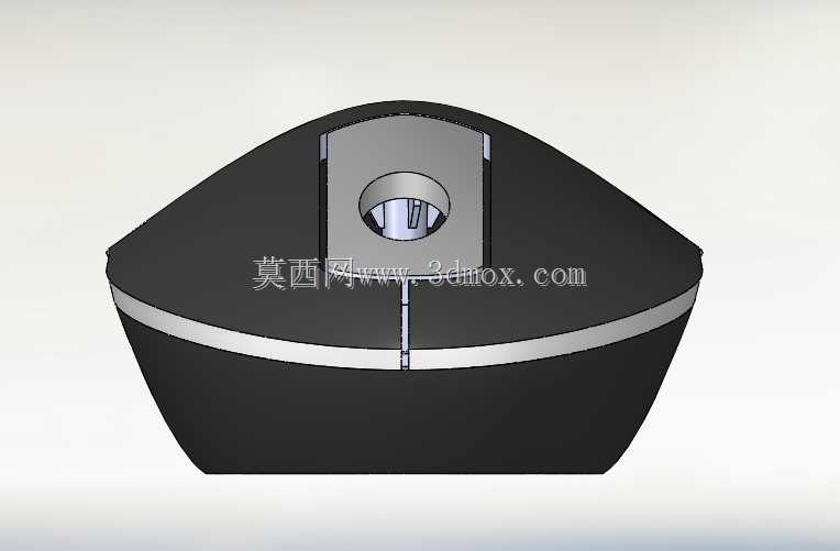 小鼠模型