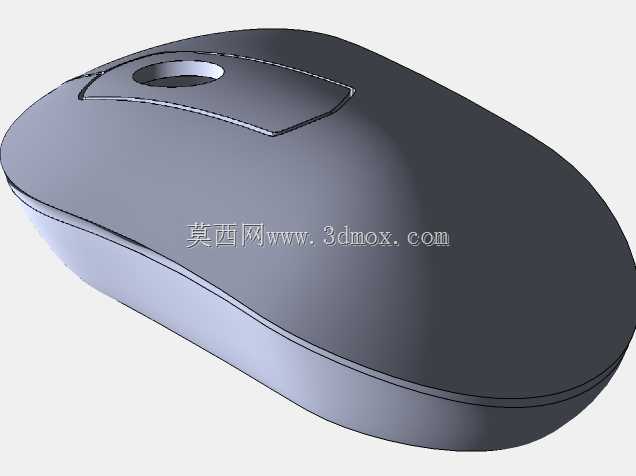 小鼠模型