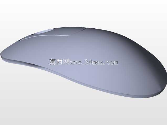 小鼠模型