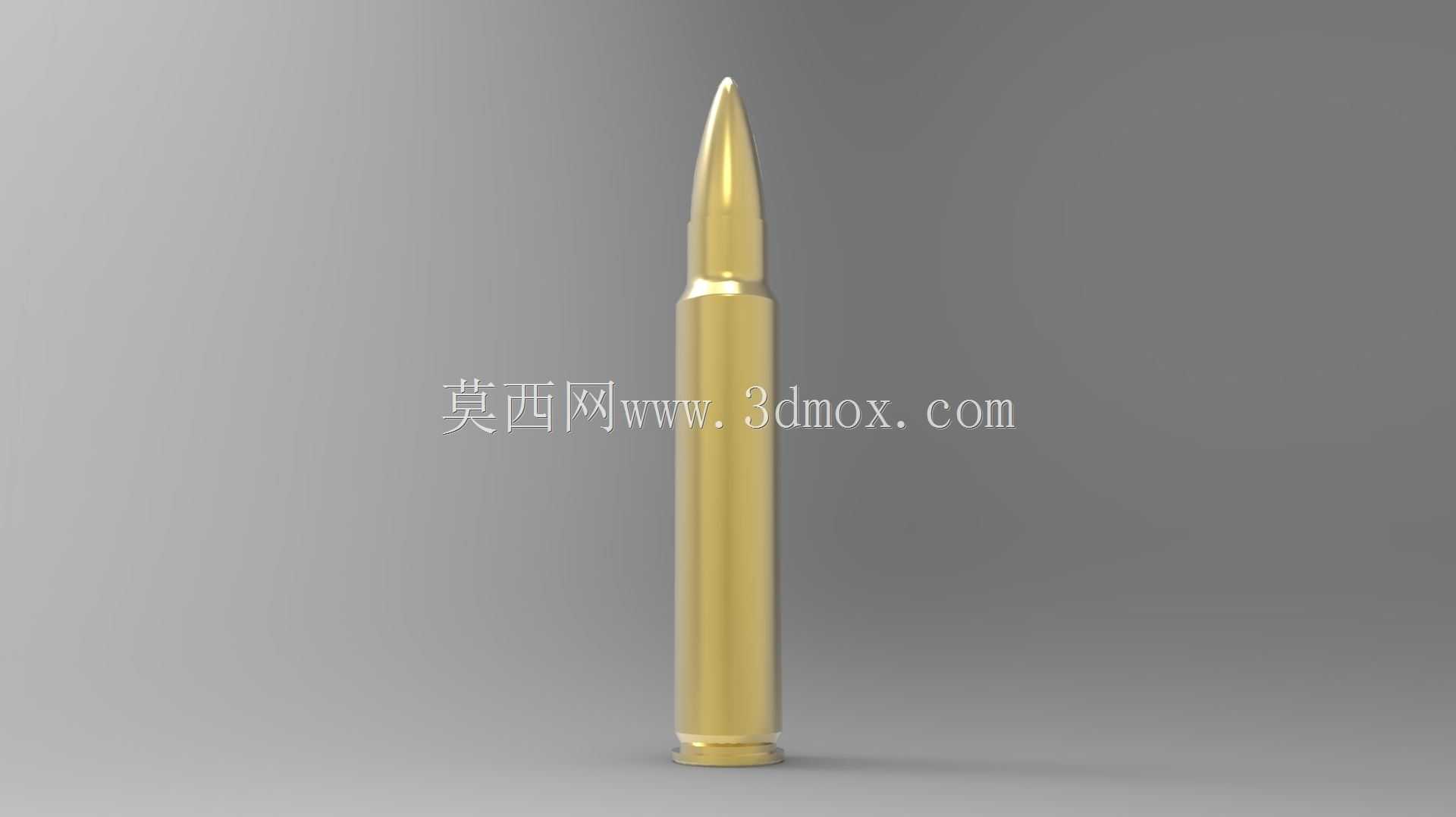 .300³������ʹ��ƿ��.300 RCM��