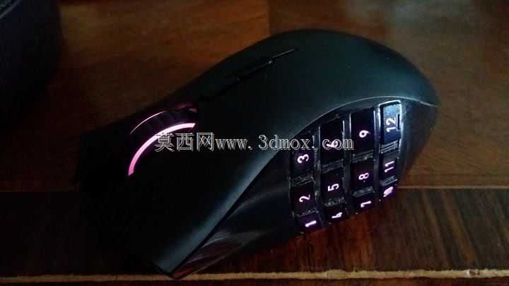 ���뵶��β��