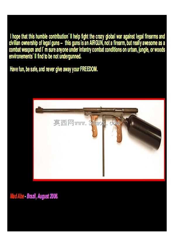 手枪、气枪和权宜蓝图收藏