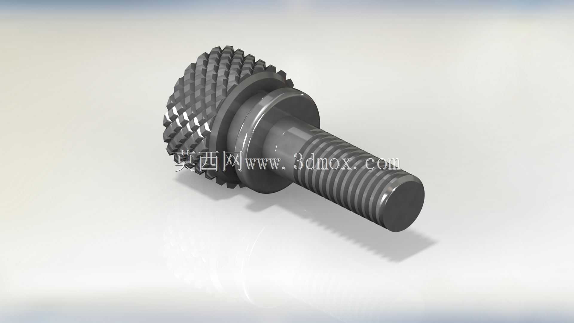 ������˨��Solidworks��