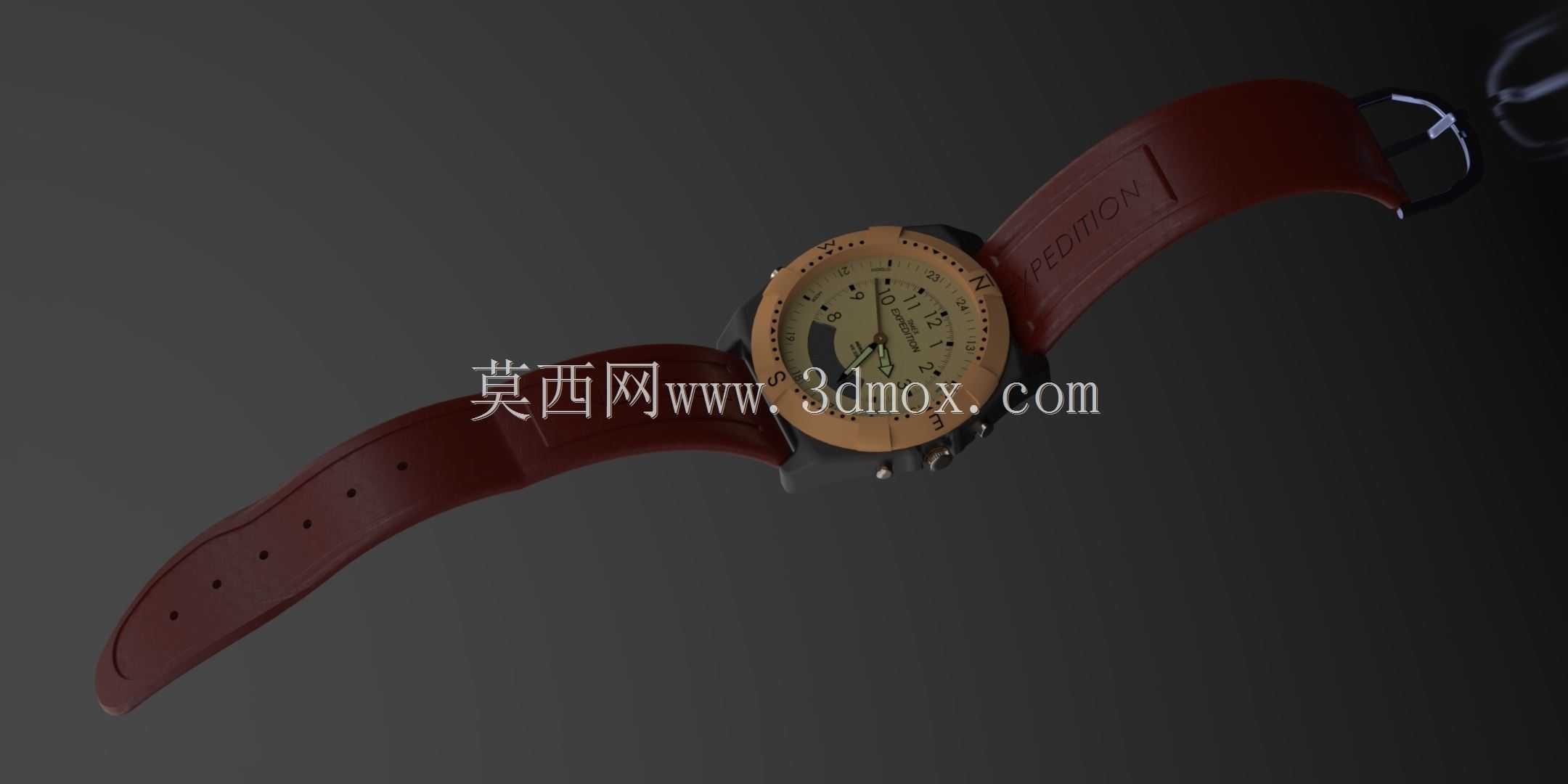 TIMEX远征观察