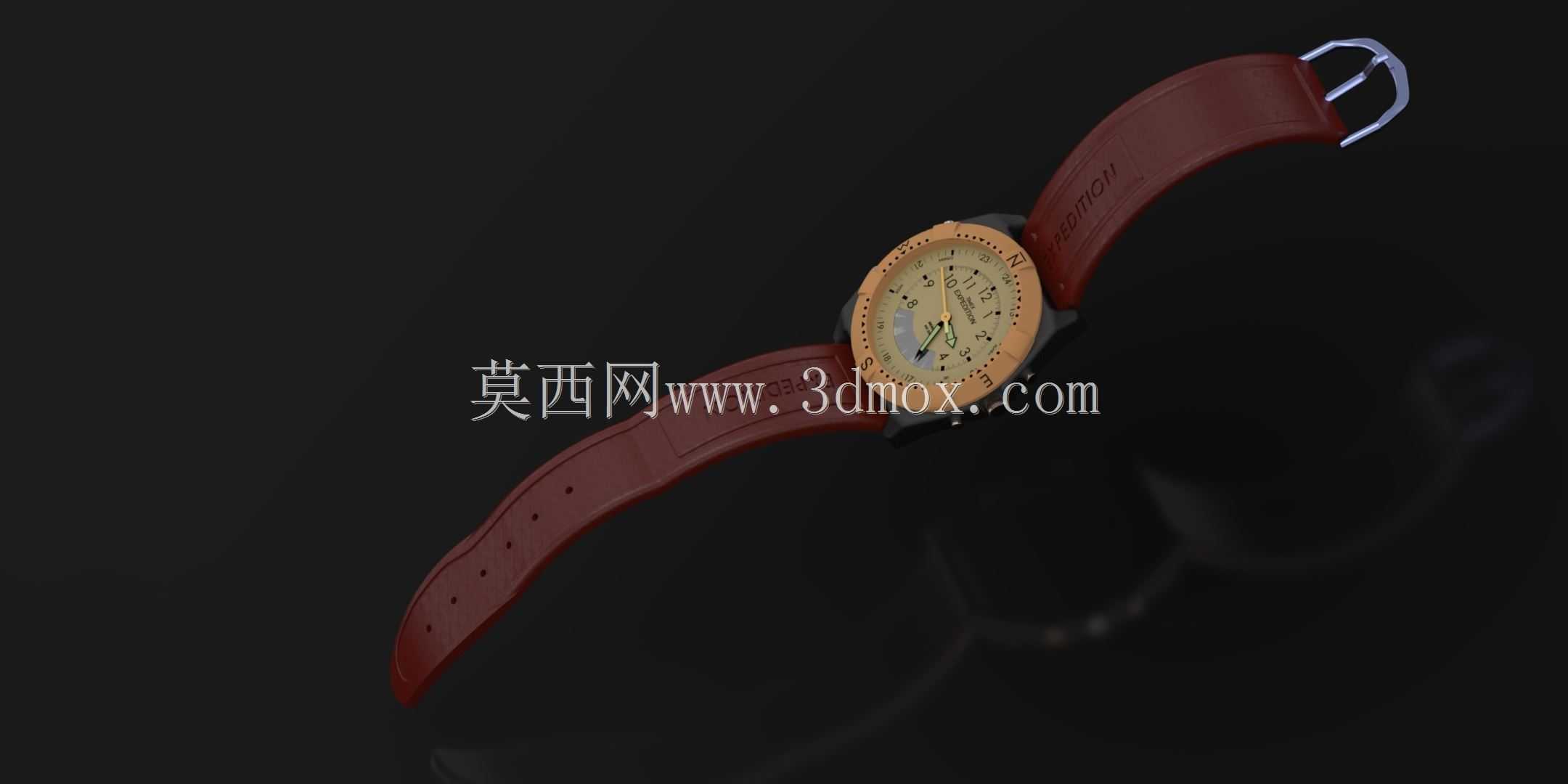 TIMEX远征观察