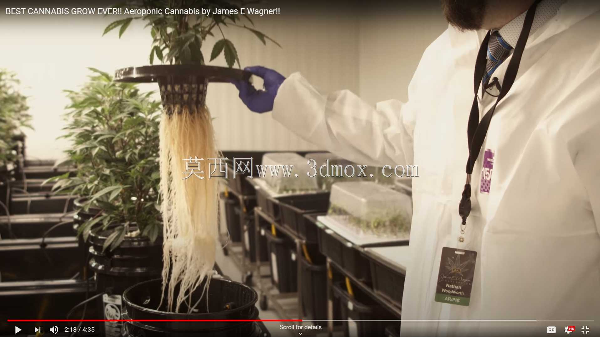 航空物理学“荷兰桶”