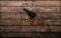 Smith\u0026 Wesson������ǹ