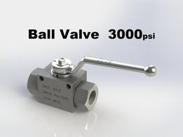 ��3000psi
