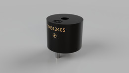 TMB12405