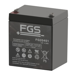 FG20451Ǧ������