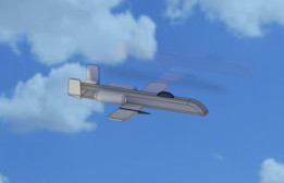 ���׶�ͯ���͹�A-10��